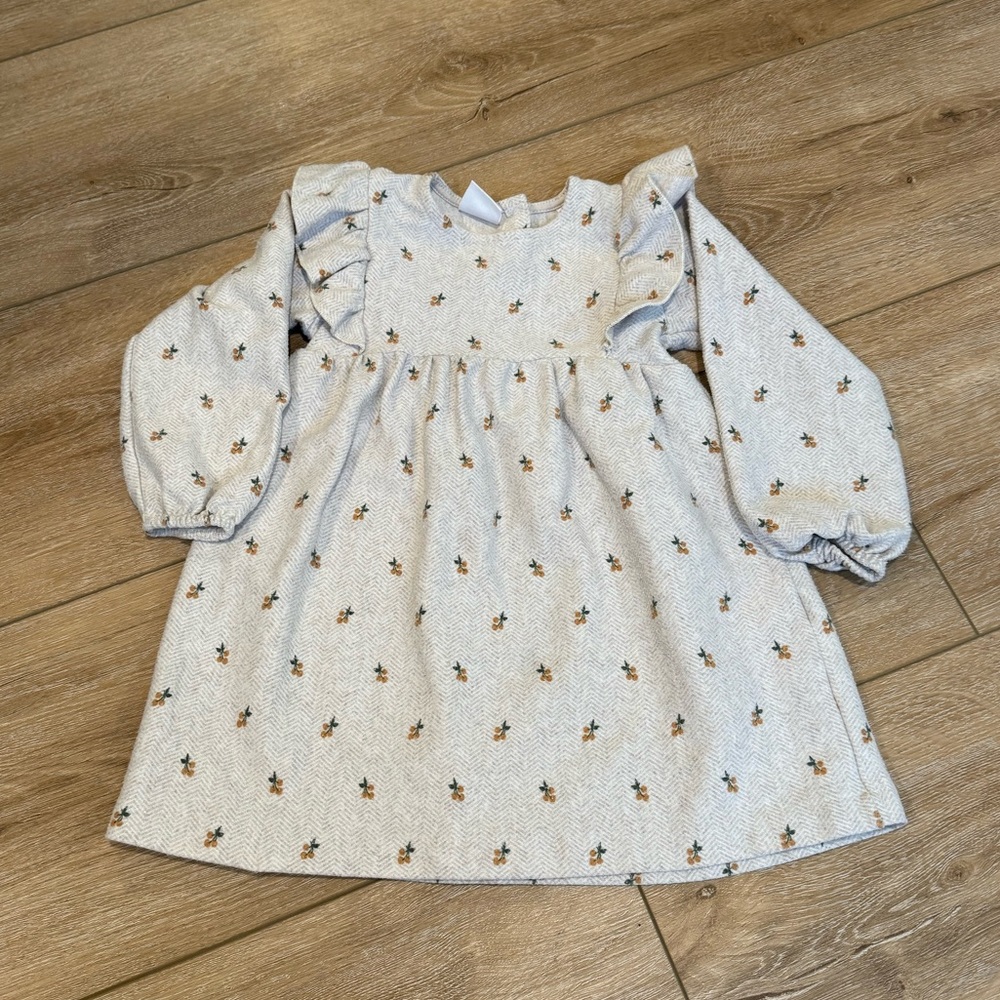 Zara 2-3 winter dress